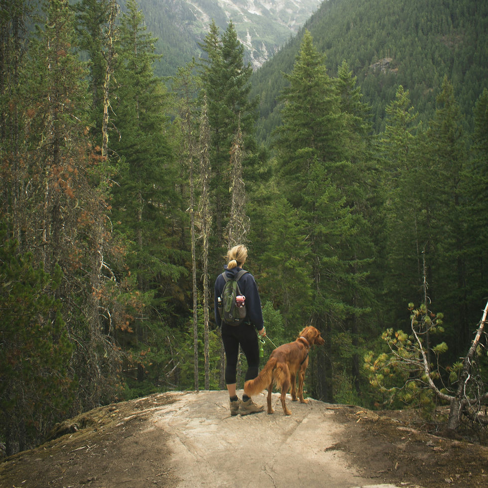 Woman with a backpack and a dog stand on a rocky ledge overlooking a lush green forest and distant mountains, exuding a calm, adventurous vibe.