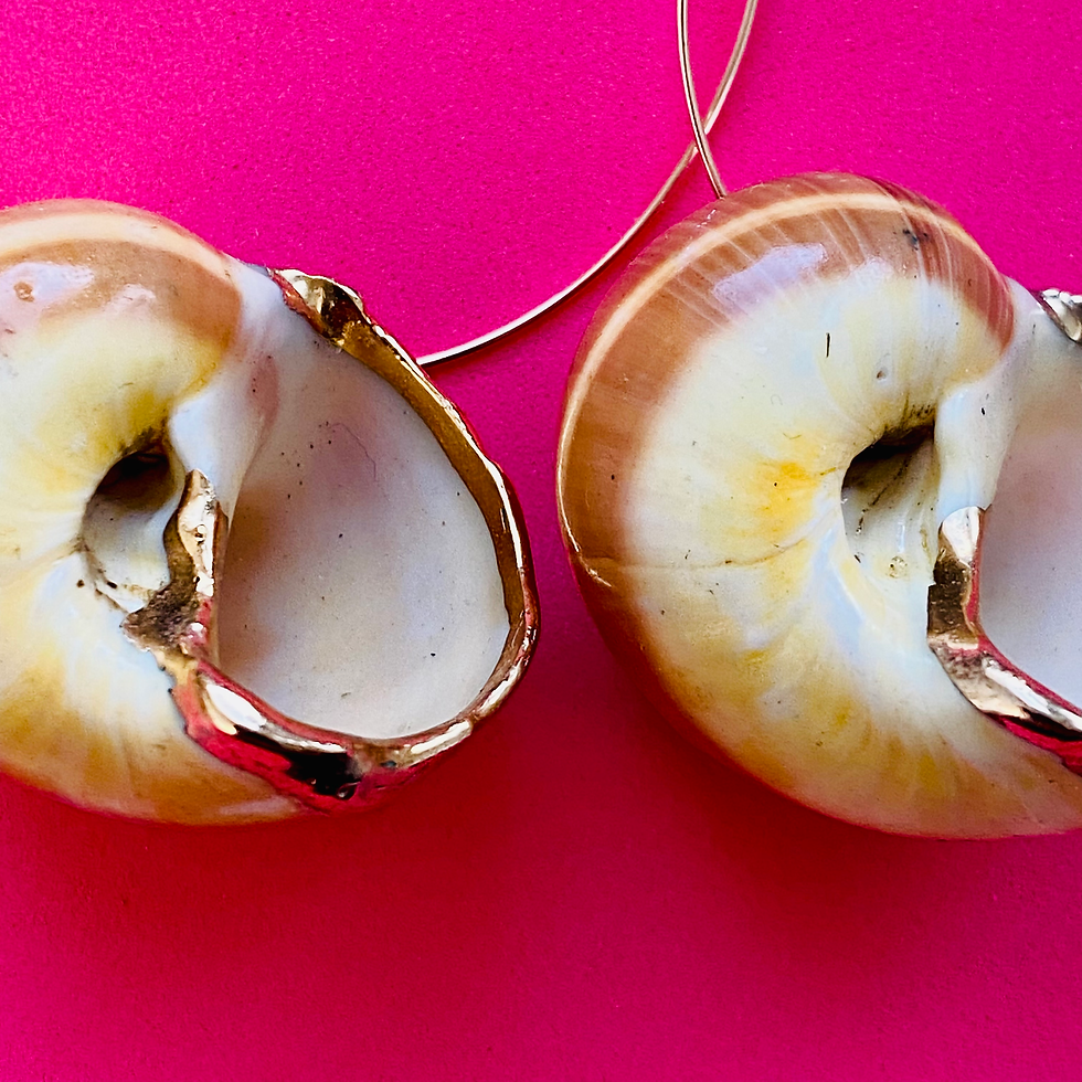 Miniature : MABAMBA Shark eye_ Le coquillage_anneaux 50mm