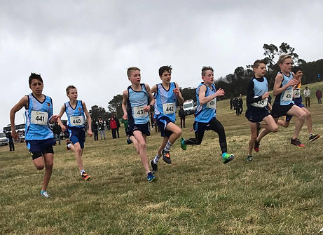 Kid's Run Club, Kid's Run Squad, Cross Country, Centennial Parklands, Junior Run Coach, Kid's Running Club, Kid's Running Group, All Schools Cross Country, Kid's Running Clubs Sydney, Kid's Running Clubs Centennial Park, Pulse Performance, Sweat Sydney, Up and Running