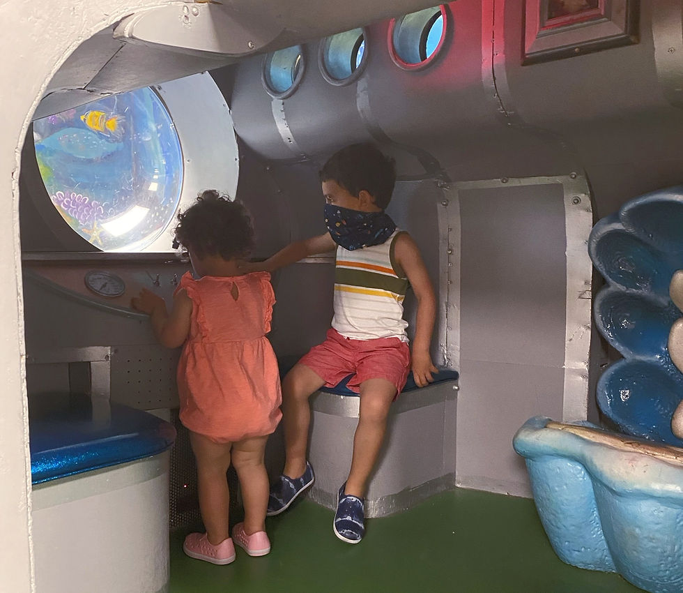 Deceptive Advertising of Children's Products