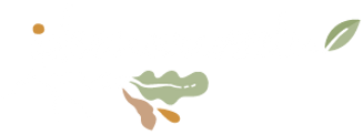 ideenwurzeln_Logo_100x300px.png