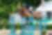 image.php-22.jpeg