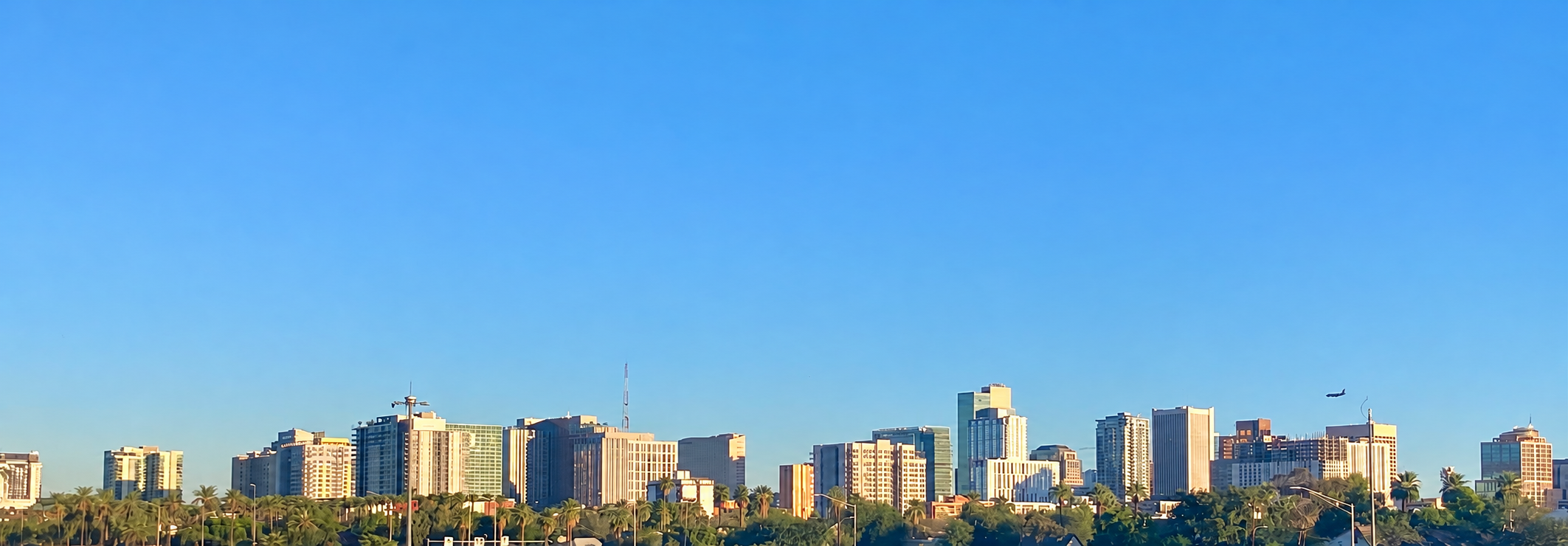 Phoenix downtown skyline and palm trees beneath a clear sky.