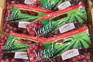 Anthony's Organic Grapes
