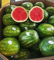 Sun State Watermelons