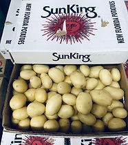 Troyer Sun King Potatoes