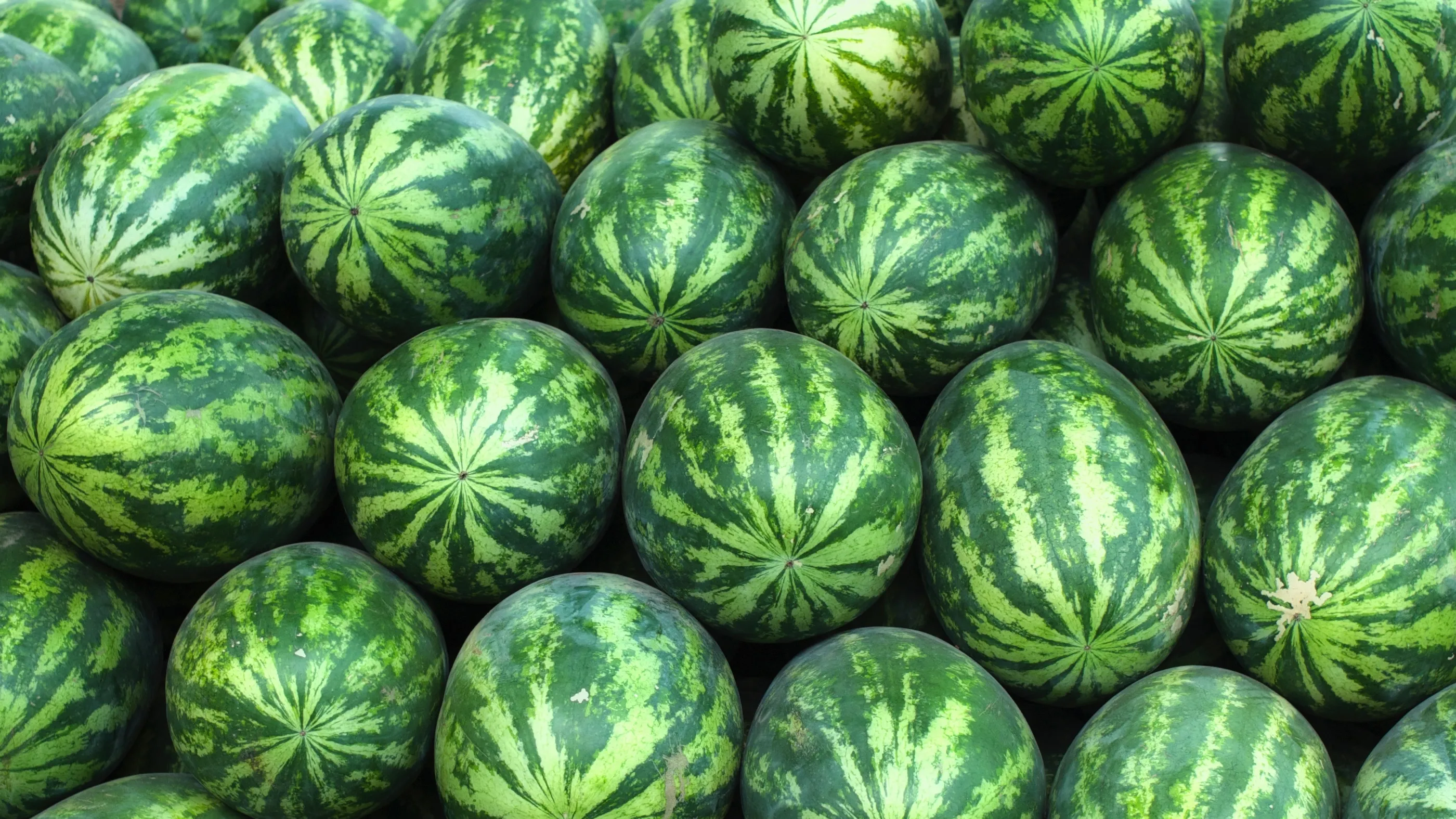 Watermelons