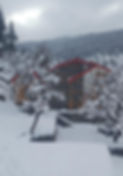 6807b226-a210-4bda-b7a8-bf872cc69cc0_edited.jpg