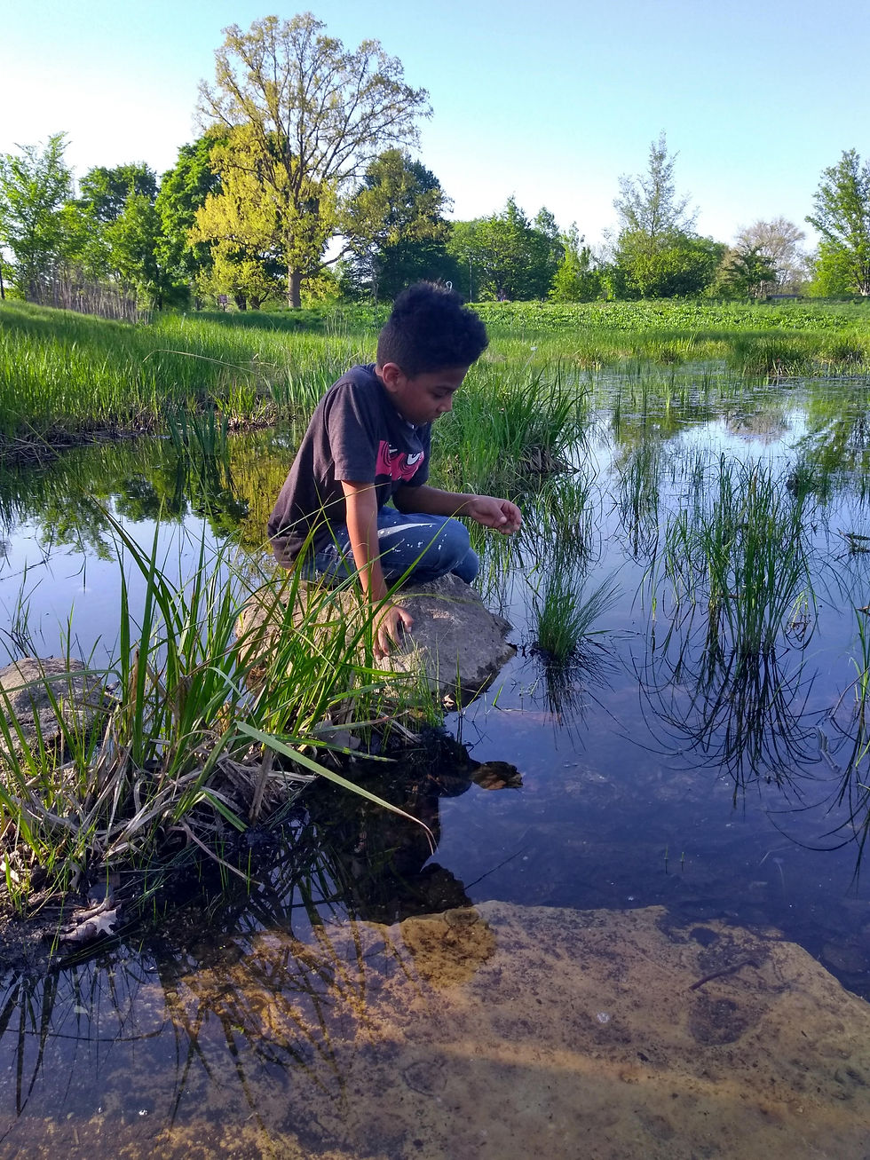 IMG_20180516_174706606_HDR