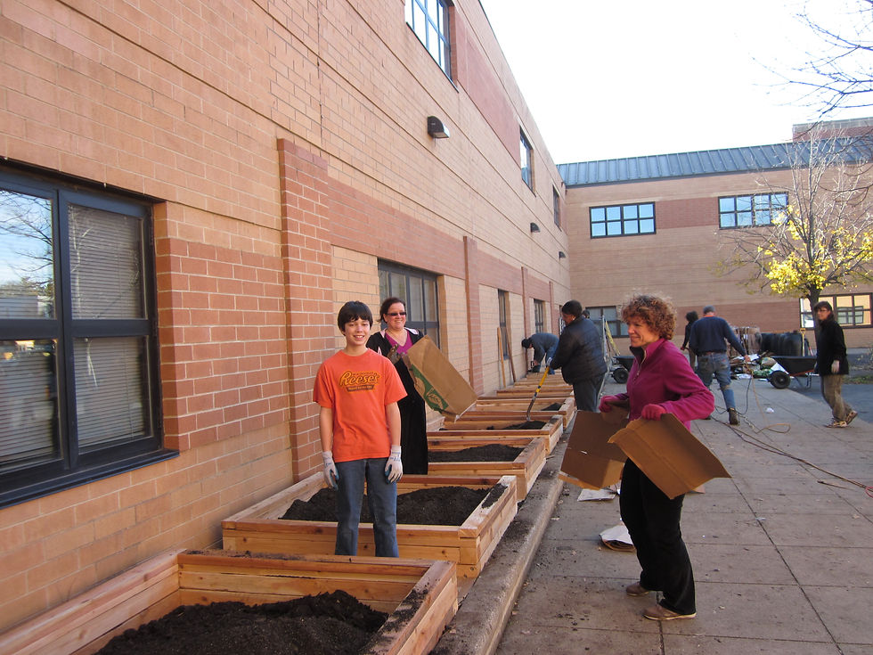 GardenBuildFillingBeds