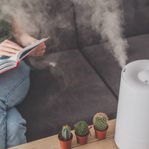 Air purifiers vs humidifiers: 5 Best Air Purifier-Humidifier Combos