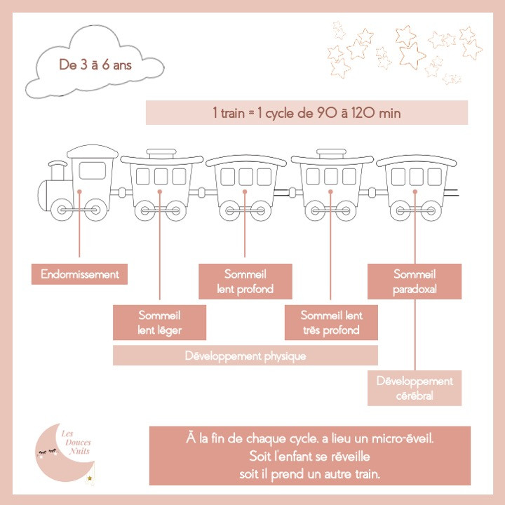 cycles de sommeil bébés enfants de 3 à 6 ans