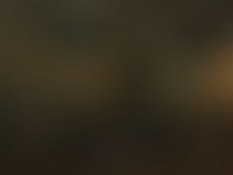 The Legend of Zelda: Tears of the Kingdom – How to Get the Camera and the Hyrule Compendium