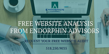 free website audit from Endorphin Advisors