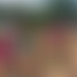 Barefoot Acres: Adventure Farm