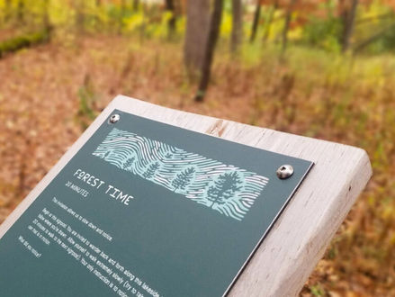 🌳 Guided Nature and Forest Therapy Trail in Kloten: A Path to Well-Being