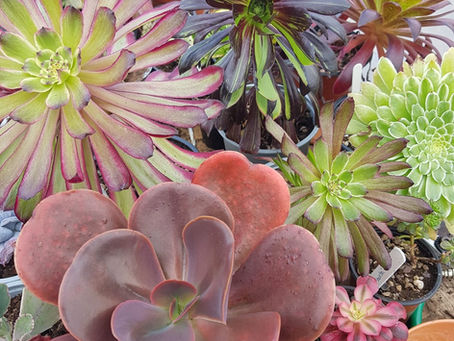 May at the nursery - 2021