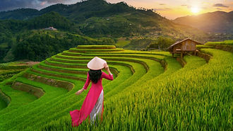 Transcendental Red on Emerald Green.jpg