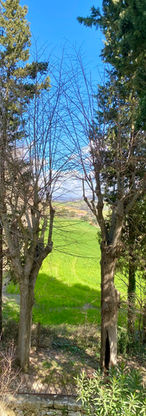 IMG_2886.jpeg