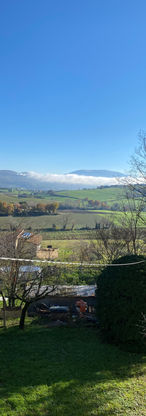 IMG_2594.jpeg