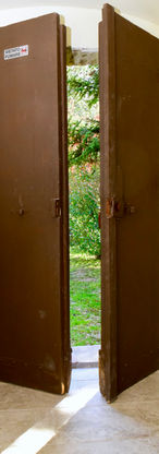 DSC_6774.jpeg
