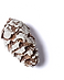 еловая-шишка.png