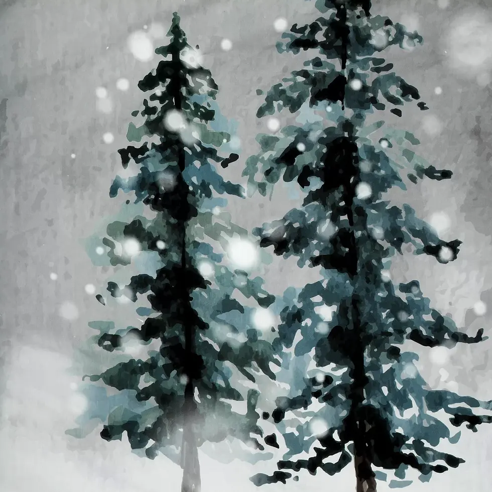 Miniaturbild: Weihnachtliches Bettwäscheset mit einem winterlichen Waldlandschaftsmotiv.