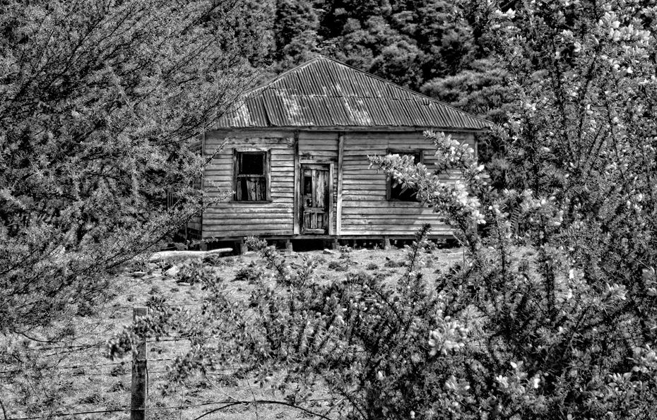 bush shed B&W