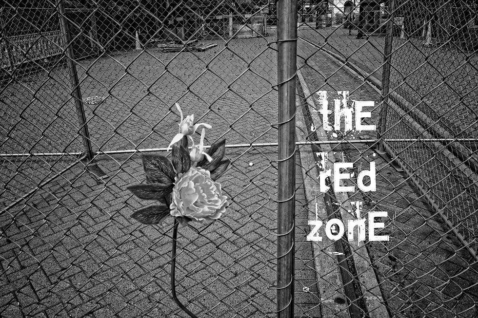 Christchurch Red Zone 7 B&W copy