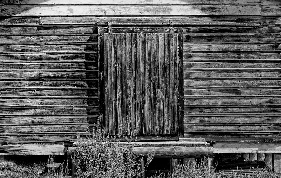 Shed Door B&W