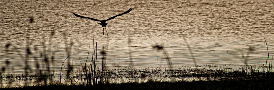 Vlei 14