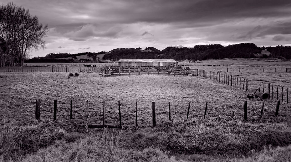 woolshed 3