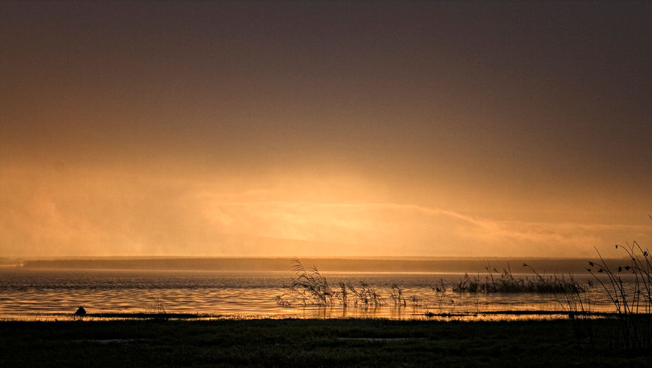 Vlei 15