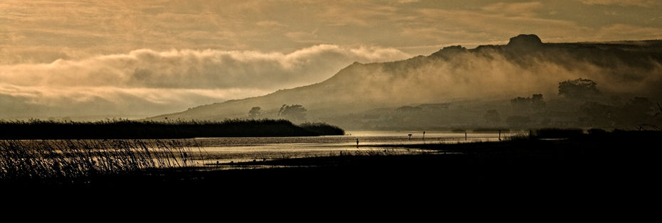 Vlei 11