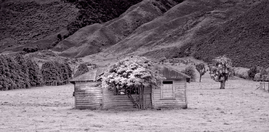windowless shed