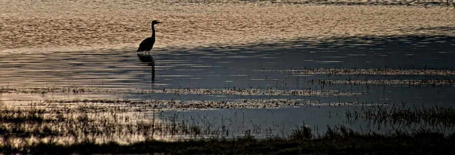 Vlei 17