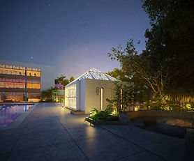 BOSQUES MAYAKOBA D504