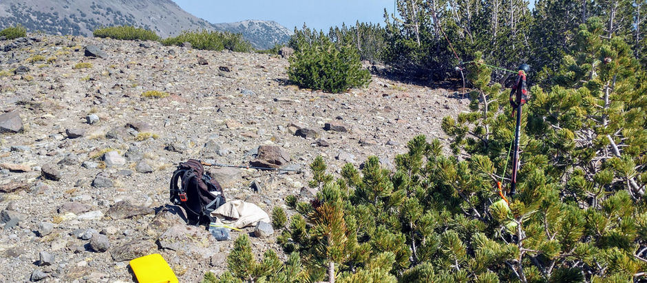 Mount Houghton W7N/WC-002 Activation