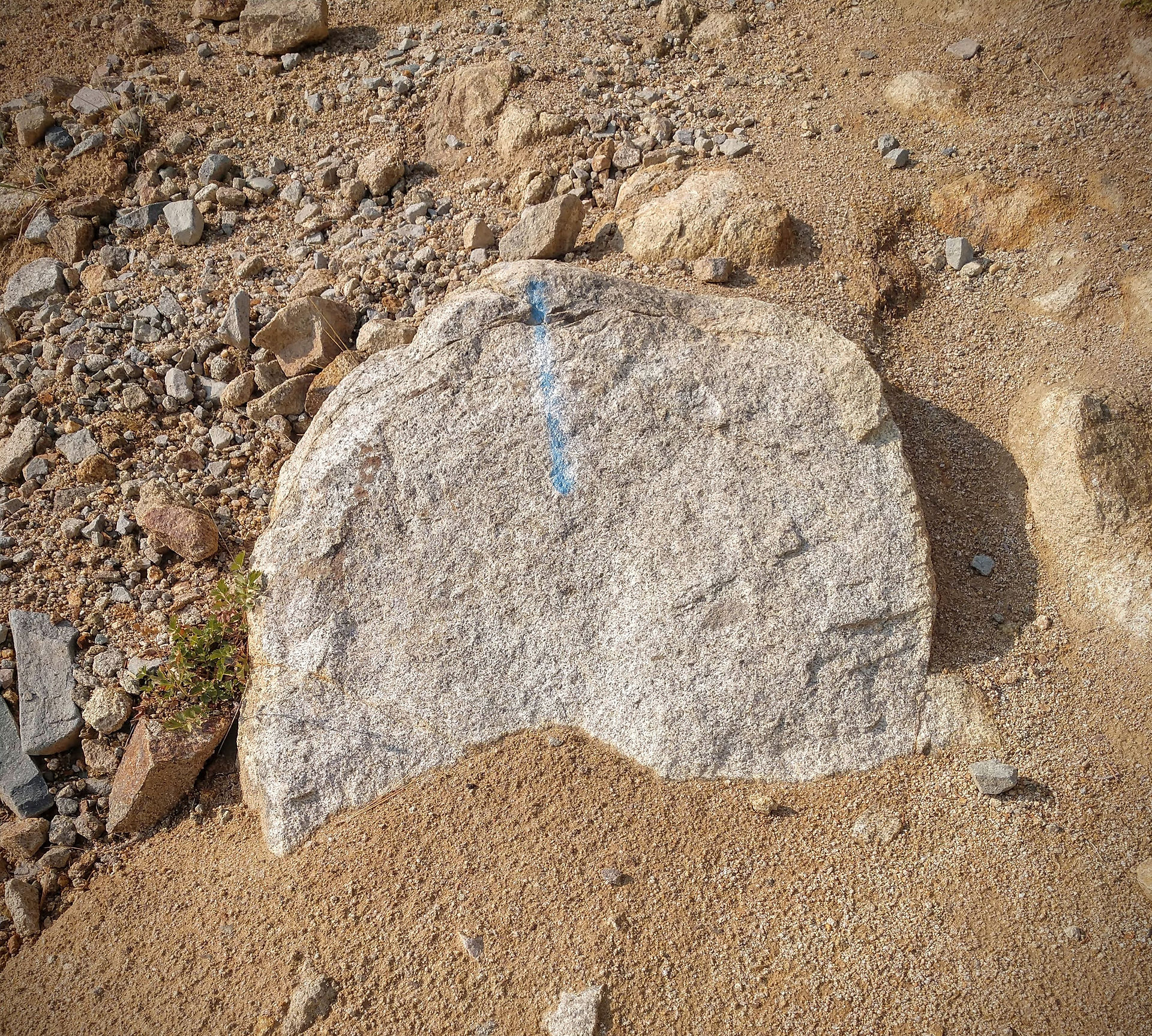 Faint Blue Markings on Trail