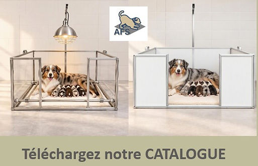 Catalogue.jpg