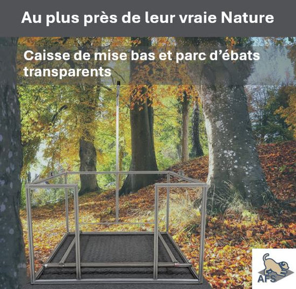 AFS France - Fabricant français
CAISSES DE MISE BAS & PARCS D'EBATS
TRANSPARENTS et BLANCS
pour les éleveurs canins