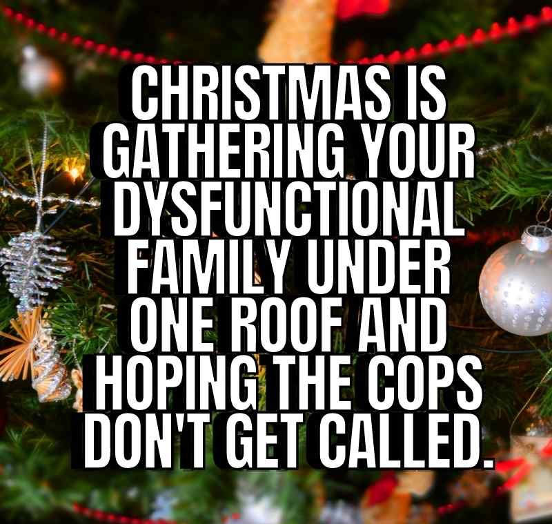 A background of a Christmas tree with the caption, "Christmas is gathering your dysfunctional family under one roof and hoping the cops don't get called" in front of it.