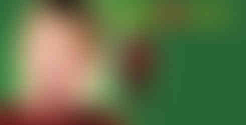 Home Alone Movie logo on Disney+