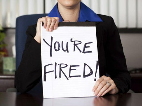 One Year Since Getting Fired 