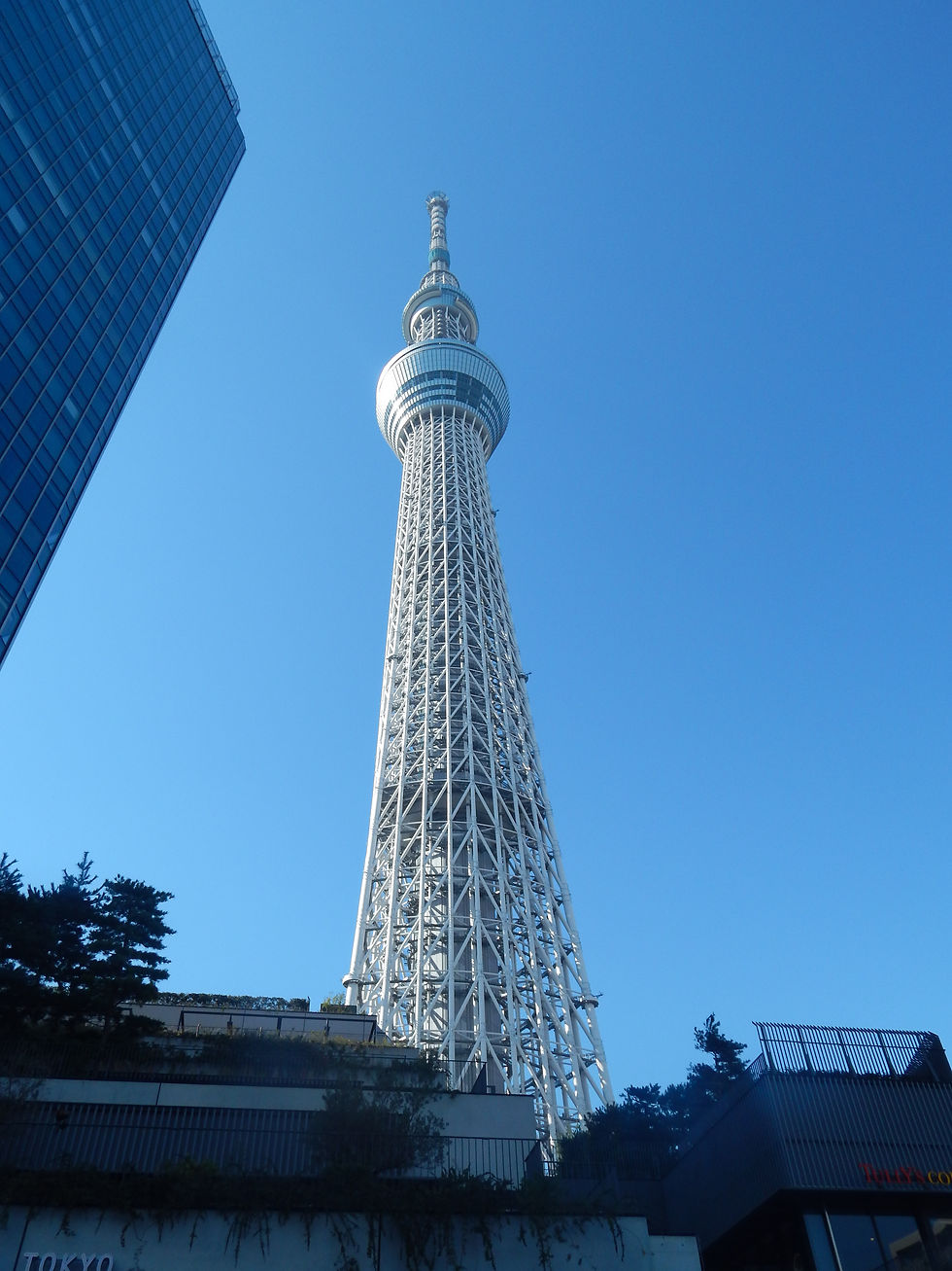 View of Tokyo Skytree from the bottom