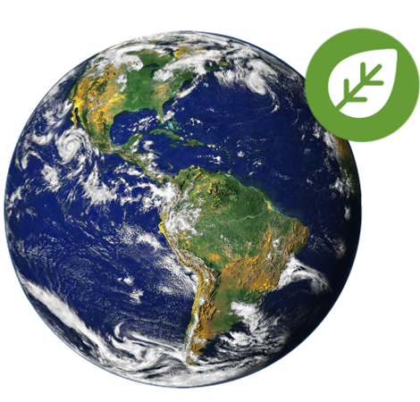 paramedical copie.png