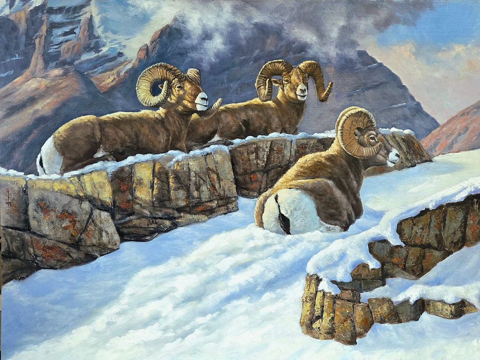 Oil Paintings