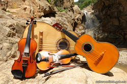 Instrumentos-Mariachi-Tradicional-1.jpg