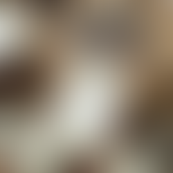 Winter wedding guest favors featuring elegant packaging with a wintery theme, suitable for the season's celebration.