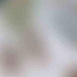 Winter wedding guest favors featuring elegant packaging with a wintery theme, suitable for the season's celebration.